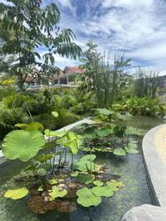 The Watergardens At Canberra (D27), Apartment #448795841